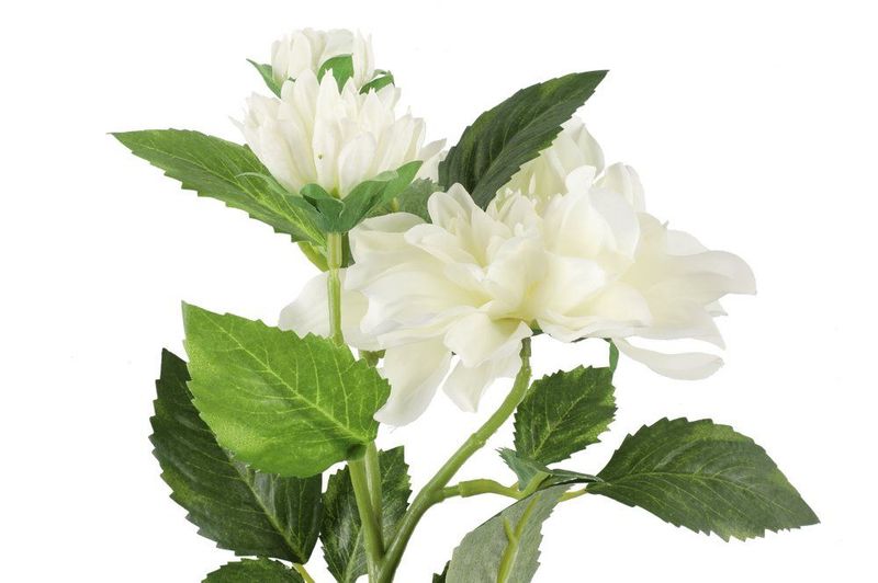 Dahlia Hvit 62cm