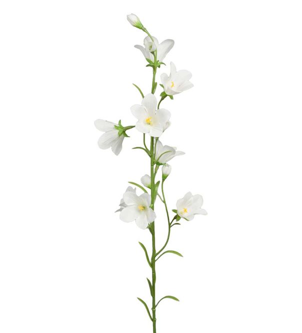 Hovedbilde Blåklokke Hvit 65cm
