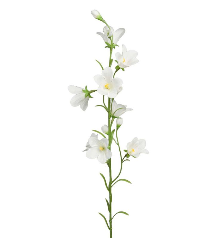 Blåklokke Hvit 65cm