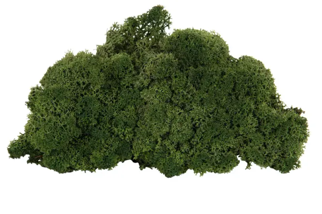 Hovedbilde Reinlav naturlig grønn, brannsikker 50g