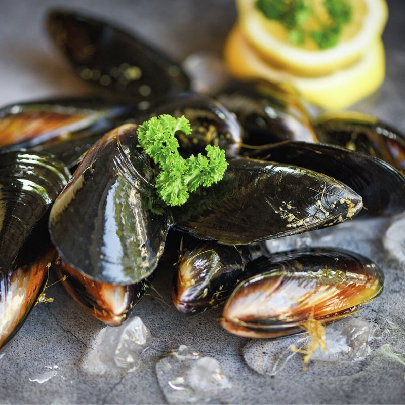 Lunsj servietter Mussels 