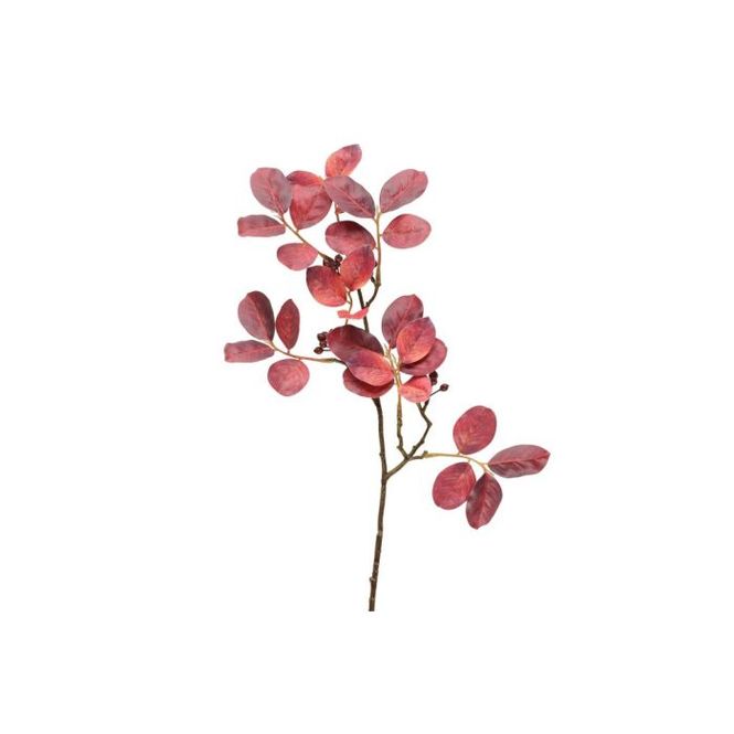 Hovedbilde Høstkvist 66cm