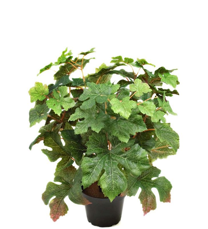 Vinranke 35 cm