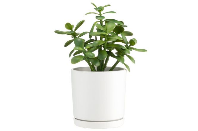 Hovedbilde Blomsterpotte 15cm Matt Hvit