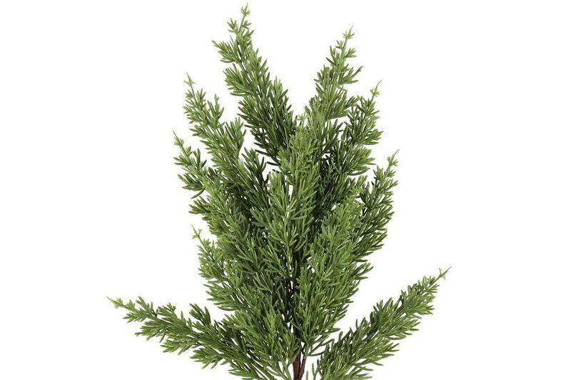 Kvist furu 57cm