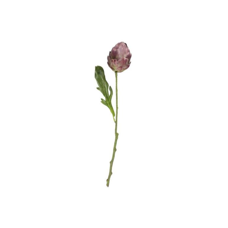 Artisjokk 47cm 2ass farger