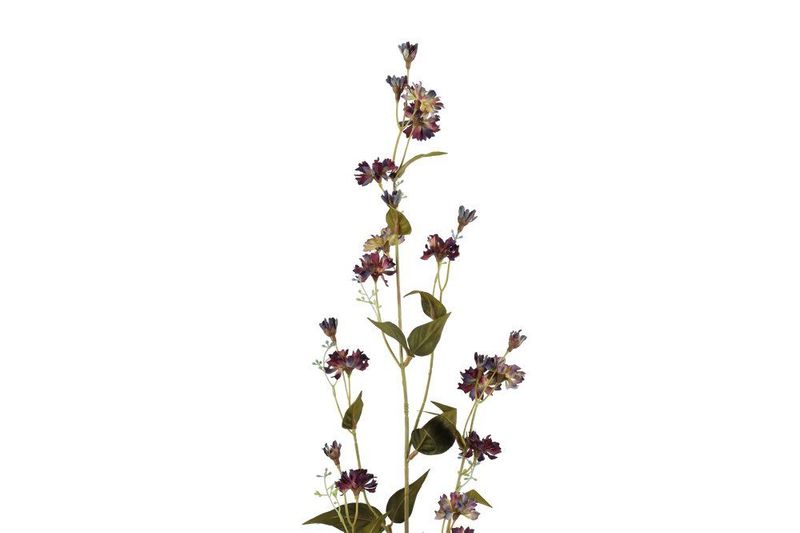 Hieracium 102cm 3ass farger