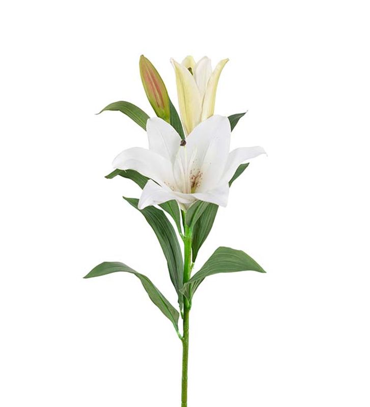 Lilje Hvit snittblomst 90cm